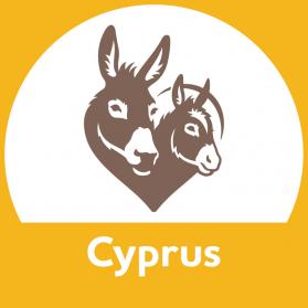 Cyprus office